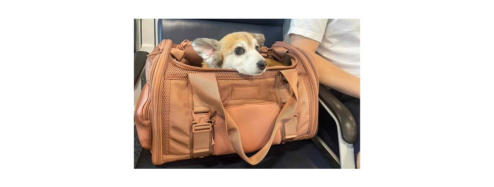 Soft Pet Carrier Bag Soft Pet Carrier Bag